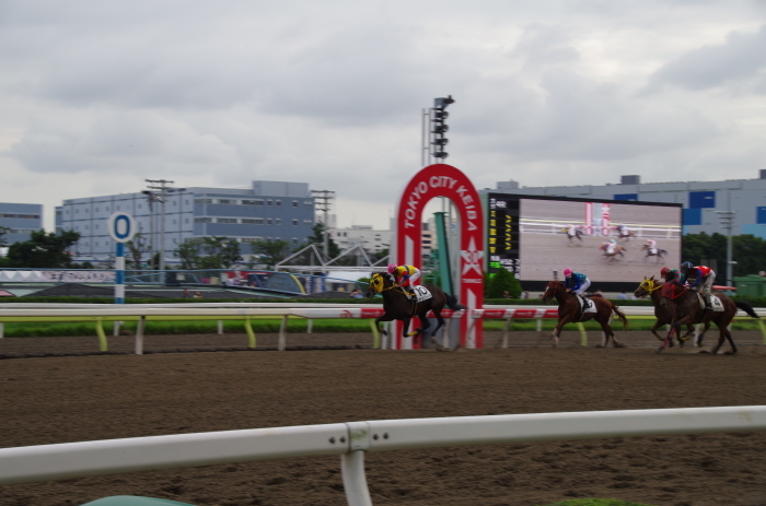 チョリータ 5戦目＠大井競馬場 4R 2016.9.21_d0344707_19102325.jpg