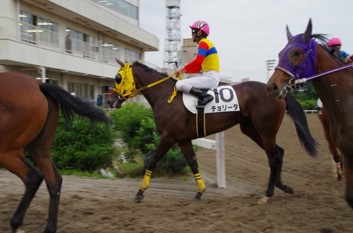 チョリータ 5戦目＠大井競馬場 4R 2016.9.21_d0344707_19104478.jpg