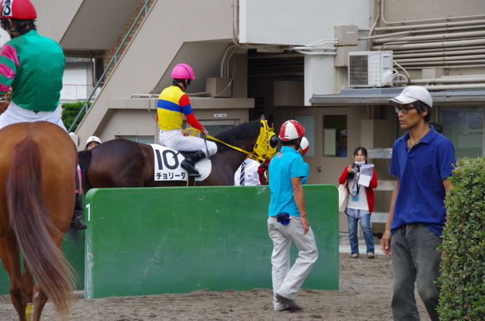 チョリータ 5戦目＠大井競馬場 4R 2016.9.21_d0344707_19105378.jpg