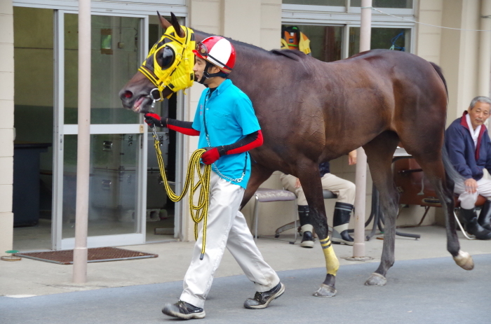 チョリータ 5戦目＠大井競馬場 4R 2016.9.21_d0344707_19132054.jpg