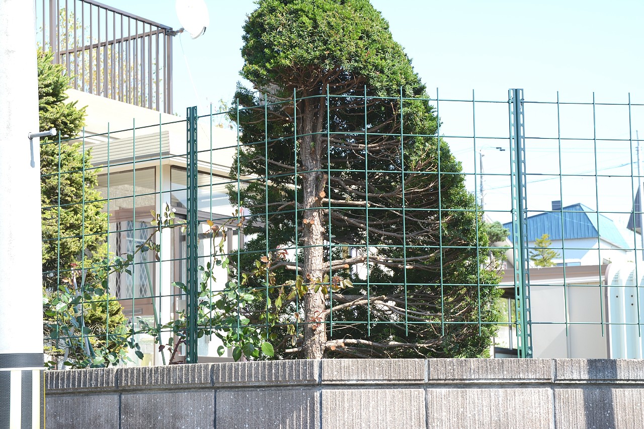 つる薔薇常設型フェンスdiy コーナー部追加工事 16 9 虹の彼方に 気の向くまま つる薔薇常設型フェンスdiy コーナー部追加工事 16 9 虹の彼方に 気の向くまま