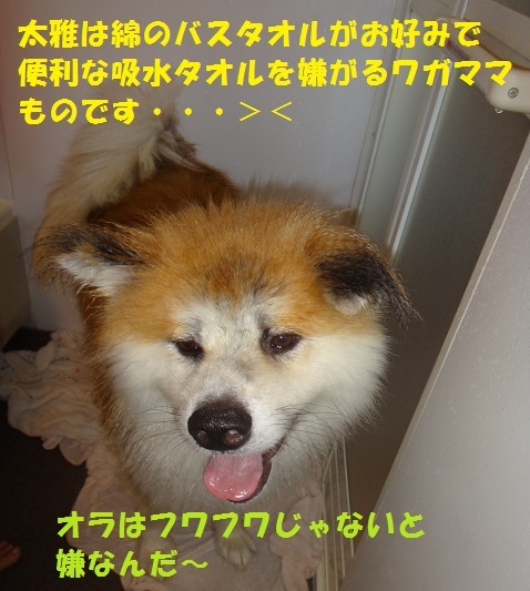 f0121712_17162719.jpg