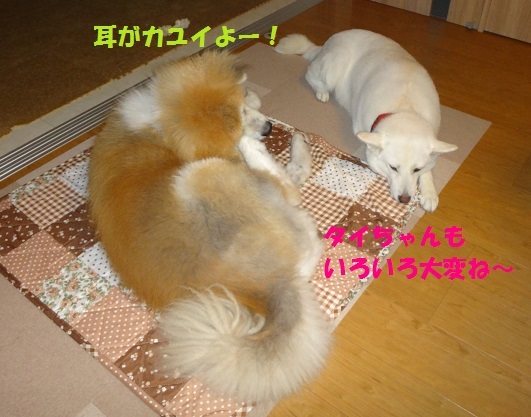 f0121712_17163217.jpg