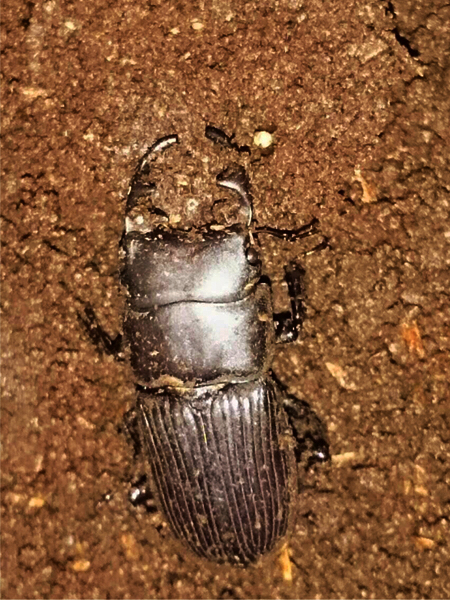 c0346119_22201682.jpg