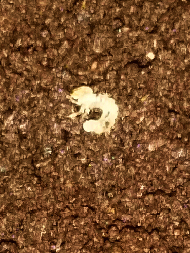c0346119_22201926.jpg