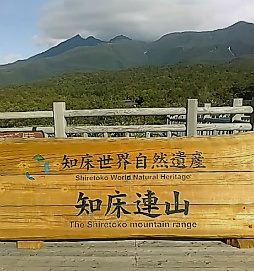 f0354923_21584436.jpg