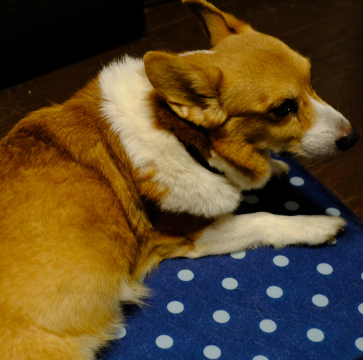 b0310424_16041563.jpg