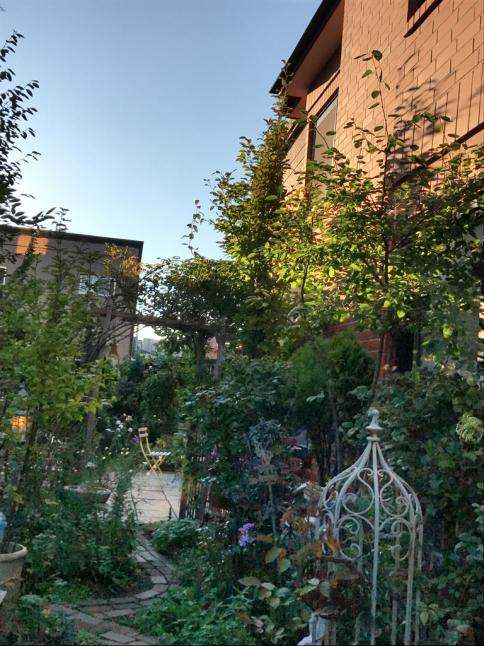 f0170524_17101564.jpg