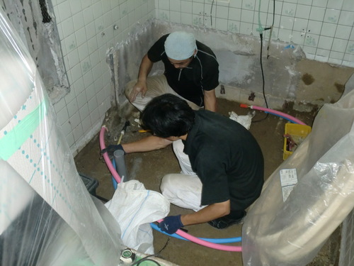 d0125228_635328.jpg