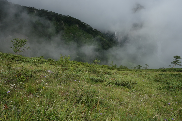 a0287336_2385446.jpg