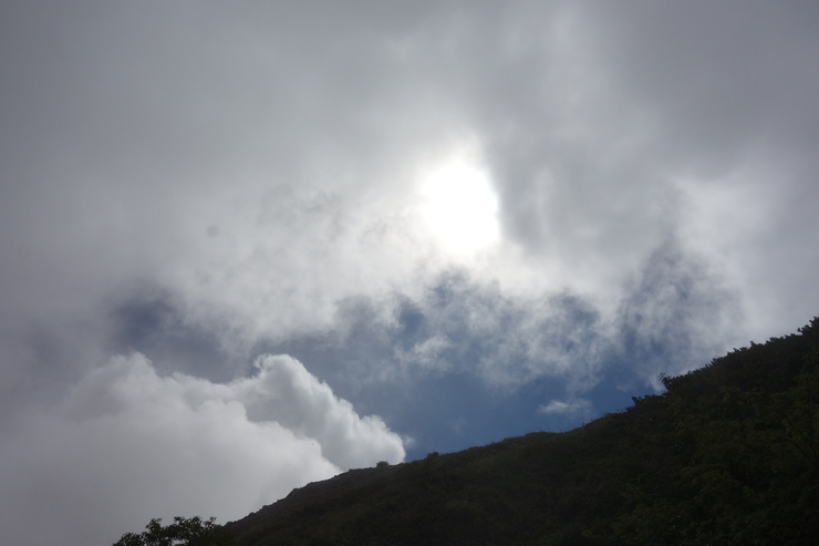 a0287336_392070.jpg