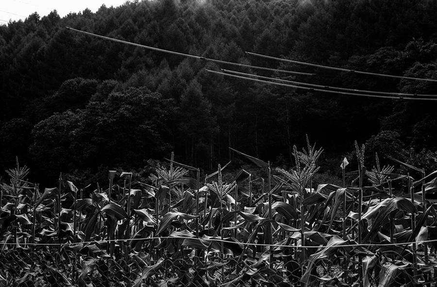 c0035245_01033085.jpg