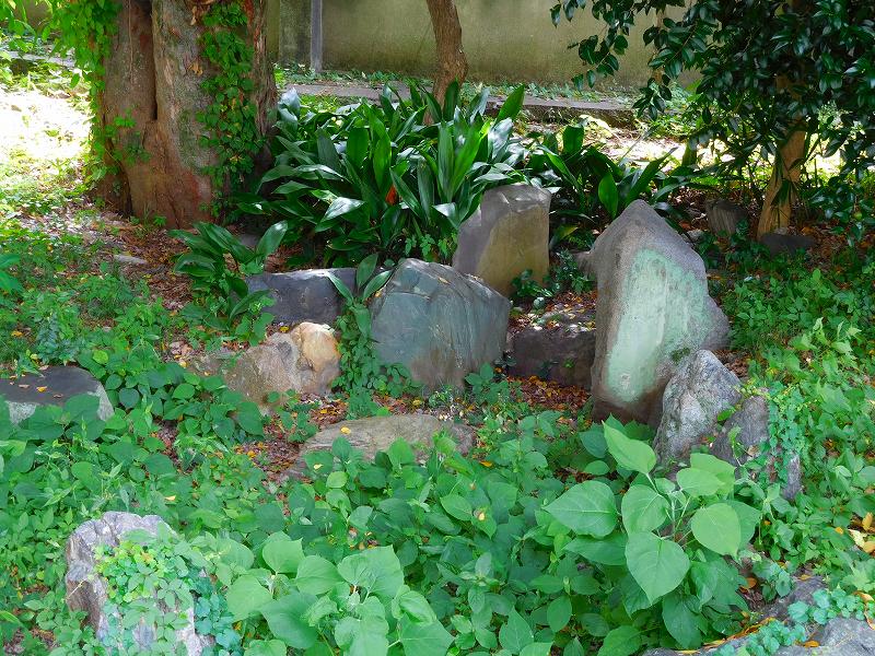 e0237645_10192410.jpg