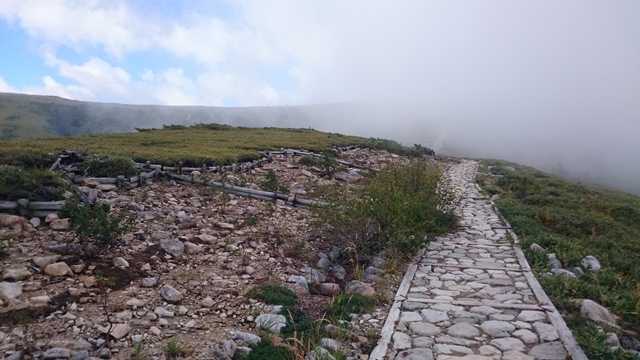 b0148050_14294.jpg