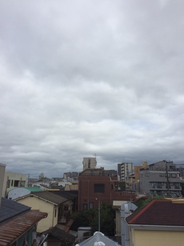 e0002951_23530289.jpeg