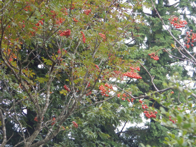 世界でもここだけ ～ 熊城山_b0366871_22234609.jpg