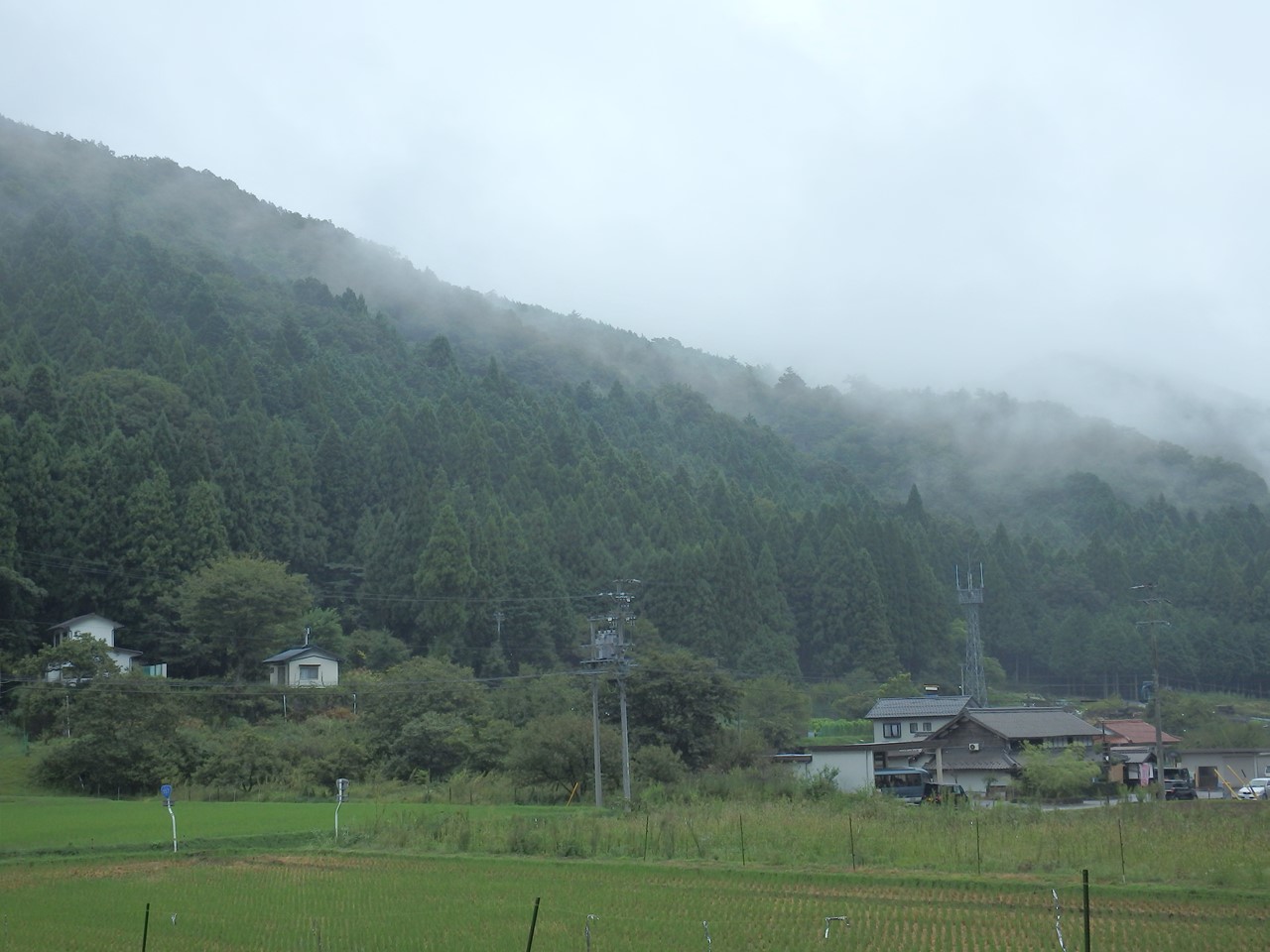 ちょっぴり懐かしい 里山風景 自然風の自然風だより