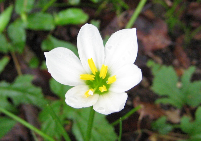 b0057679_91517.jpg