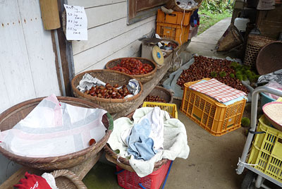 c0152779_11432651.jpg