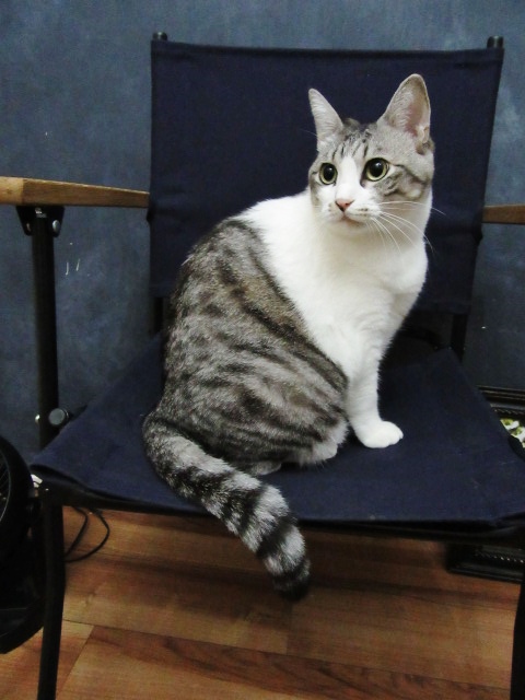 ある秋の1日。。。_d0152280_1237524.jpg