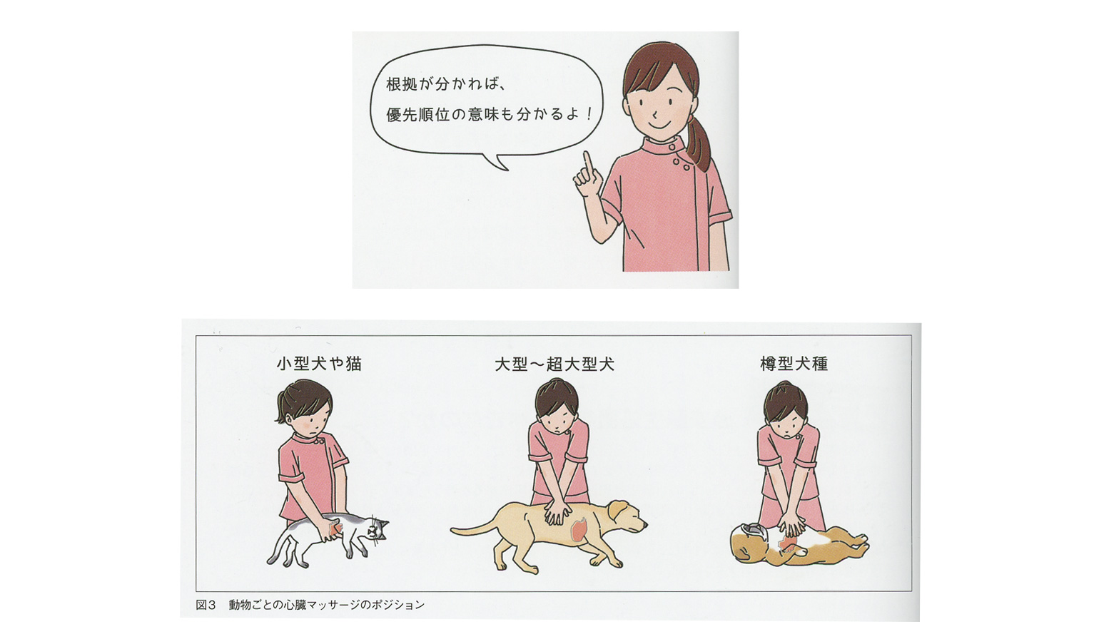 林菜々子illustration 林菜々子illustration