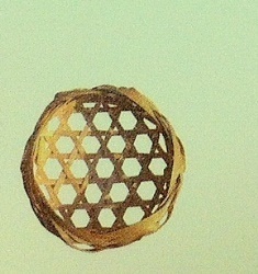 f0366500_13360777.jpg