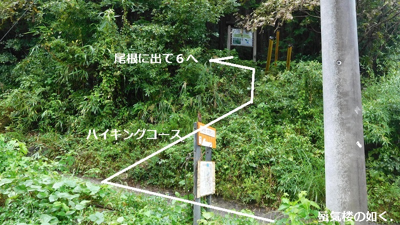 e0304702_06471204.jpg