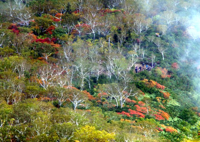 2016年9月19日(月．祝)　黒岳(1984m)～北鎮岳(標高2244m)_a0345007_17281344.jpg