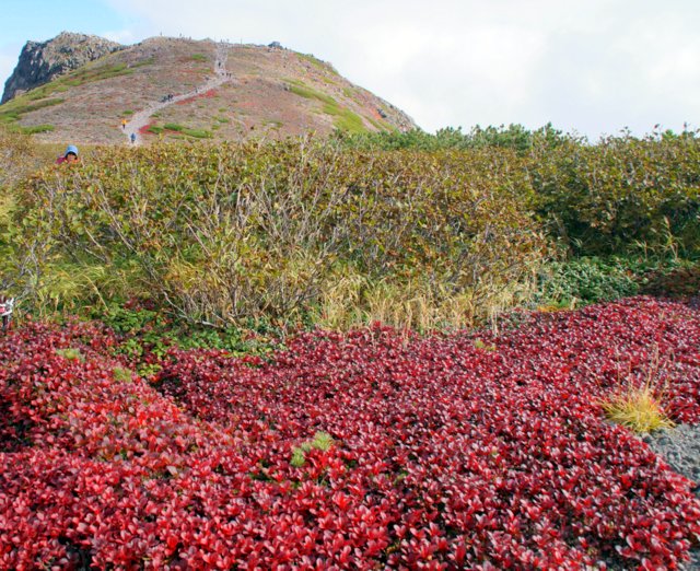 2016年9月19日(月．祝)　黒岳(1984m)～北鎮岳(標高2244m)_a0345007_173128.jpg