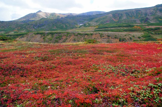 2016年9月19日(月．祝)　黒岳(1984m)～北鎮岳(標高2244m)_a0345007_17362596.jpg