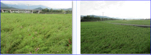 f0231709_10143072.gif