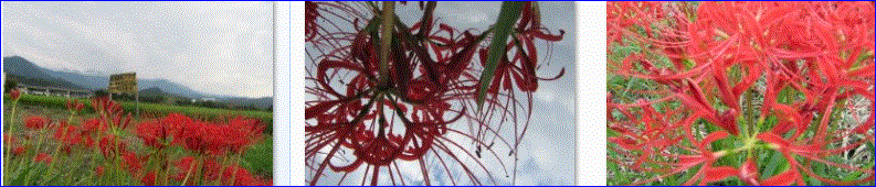 f0231709_10182791.gif