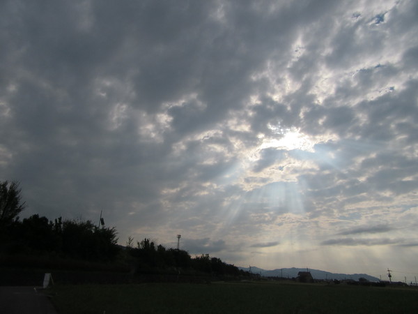 f0231709_10502543.jpg