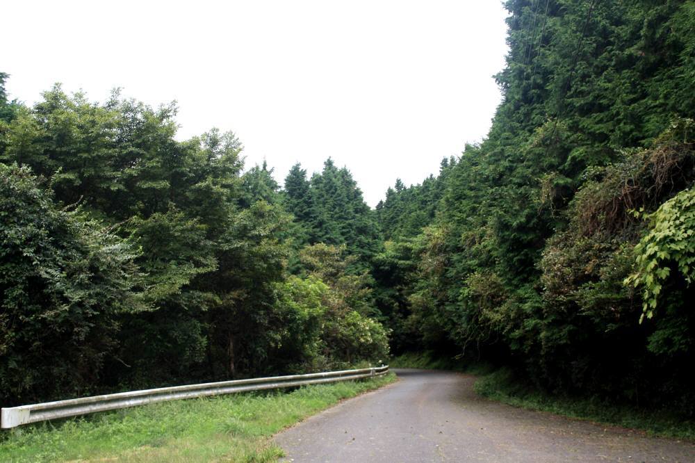 f0212511_22232779.jpg