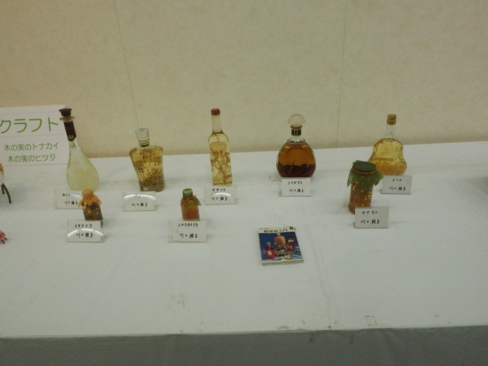 植物公園　植物友の会作品展_c0116915_005156.jpg