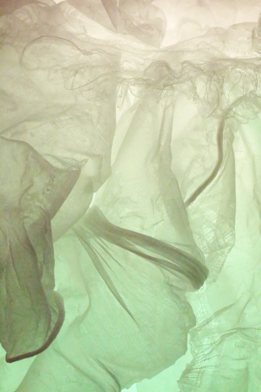 良い刺激♪_b0220318_18074107.jpg
