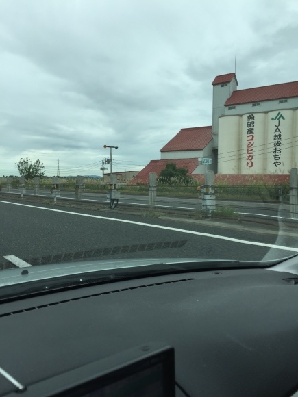 b0164428_11352557.jpeg