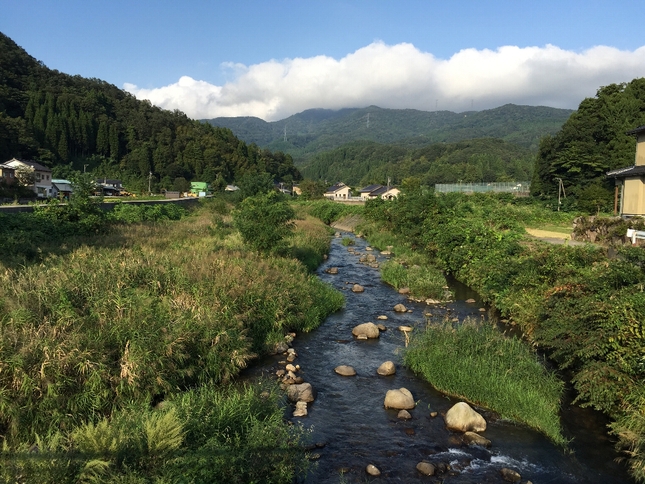湯湧温泉と8番らーめんと_c0113733_23113720.jpg