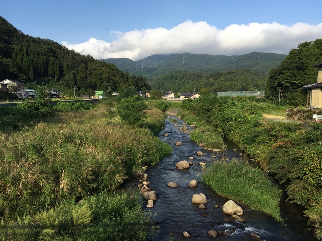 湯湧温泉と８番らーめんと_c0113733_23113720.jpg