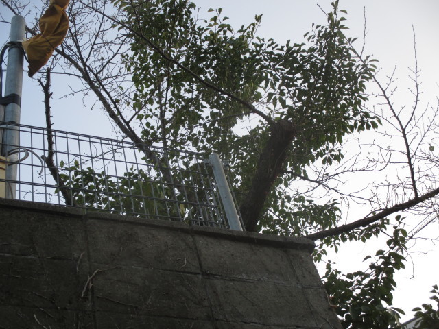 a0307846_15082166.jpg