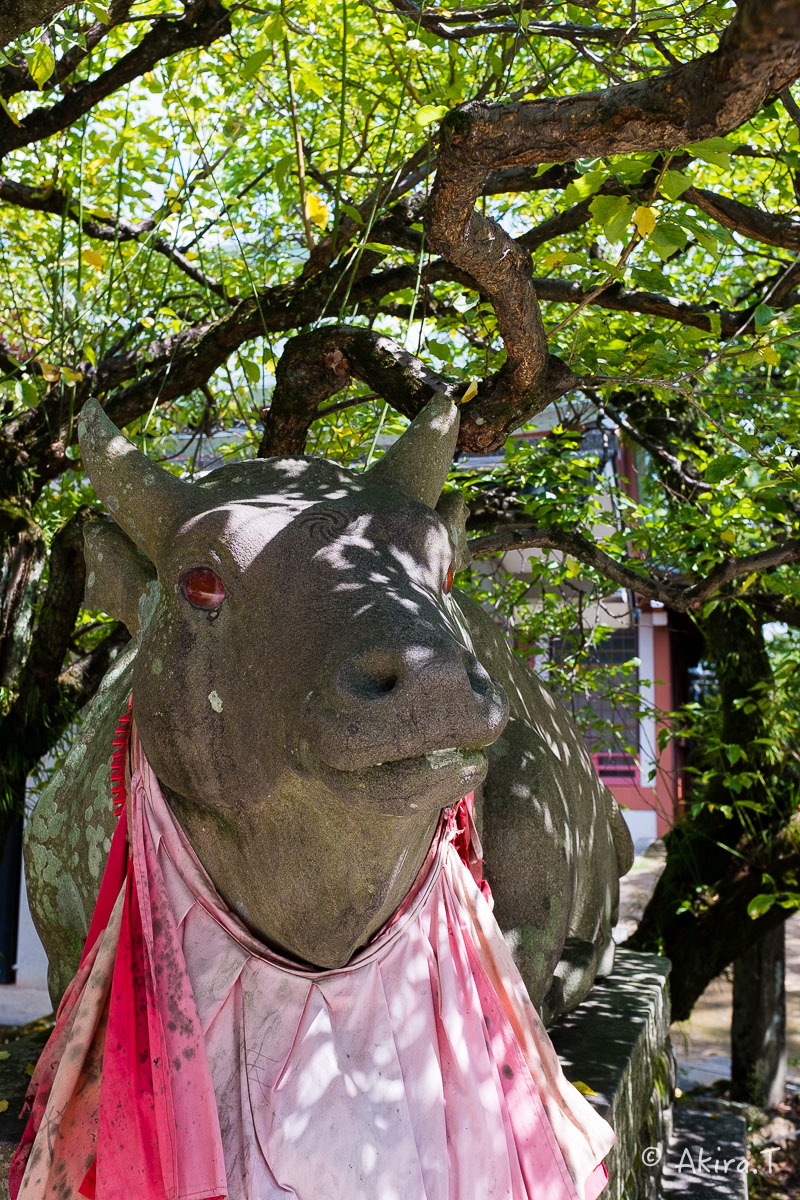 f0152550_21453699.jpg