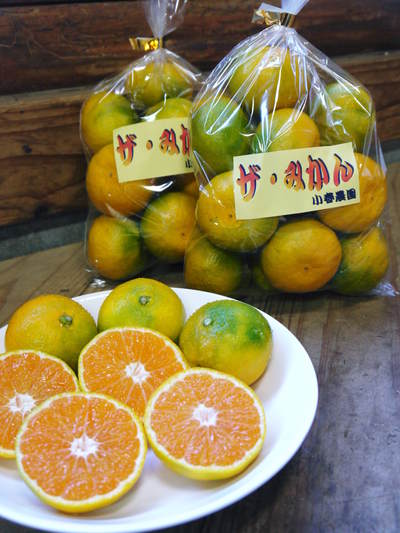 ザ・みかん みかんのシーズン到来!極早生みかん「日南」予約販売受付スタート!!_a0254656_1345596.jpg