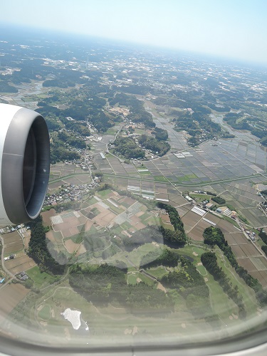 今回の機内食（JL812） 2016年5月_e0047657_8452574.jpg