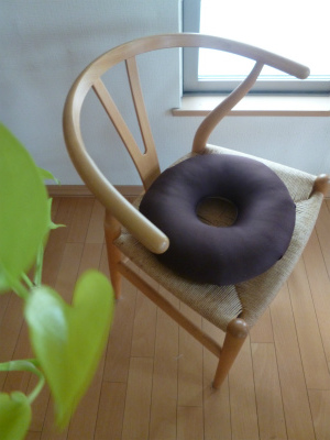 doughnut cushion  相棒そしてケガのこと_a0165160_10563831.jpg
