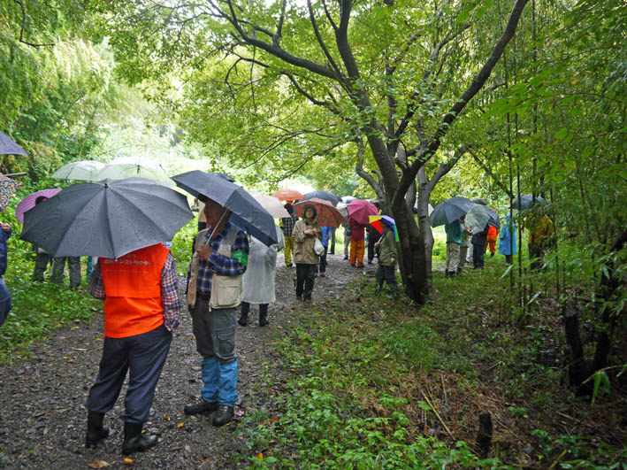 野村総研跡地の県民参加の森林づくり事業に初参加9・22_c0014967_18314952.jpg