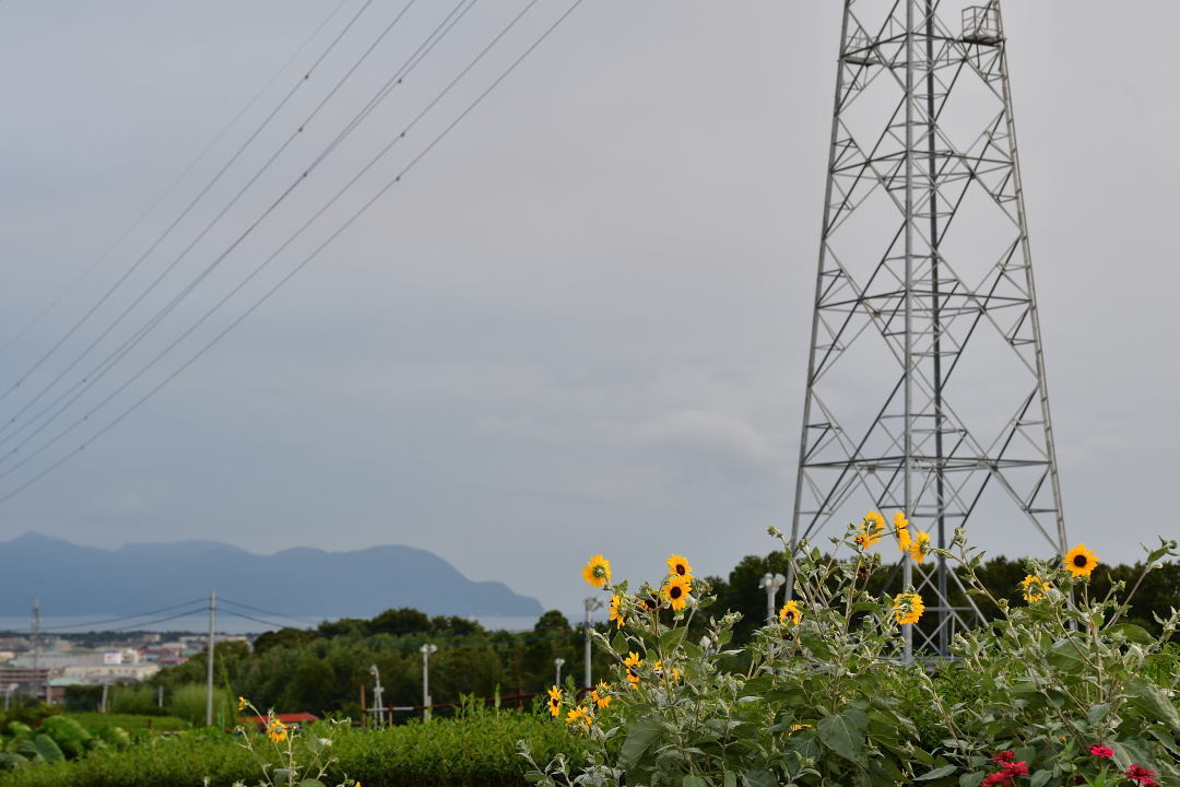 b0346568_00250793.jpg