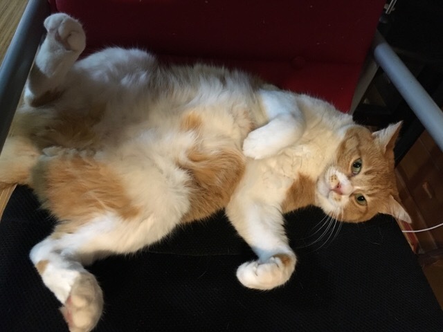 断捨離_f0363168_21454502.jpeg