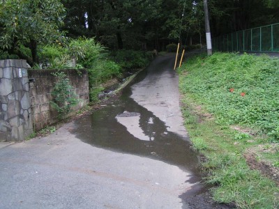 富士見緑地（立川）で大量の湧水 -2_c0112172_072443.jpg