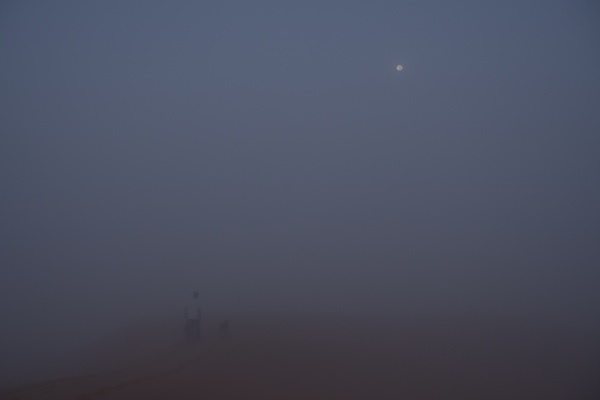 先日、このシーズン初の霧が出ました。_e0066474_13572338.jpeg