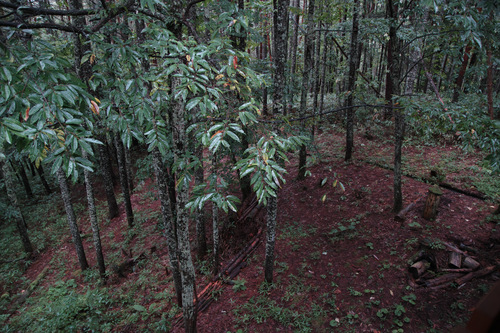f0124378_2240074.jpg